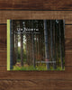 UP NORTH - Reflections Moments & Memories